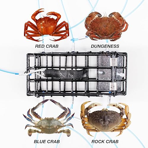 Miniatura 7 de Trampas para cangrejo con 6 bucles, bloque de acero galvanizado de 1 onza, caja rectangular para cangrejo para Dungeness, roca, cangrejo azul