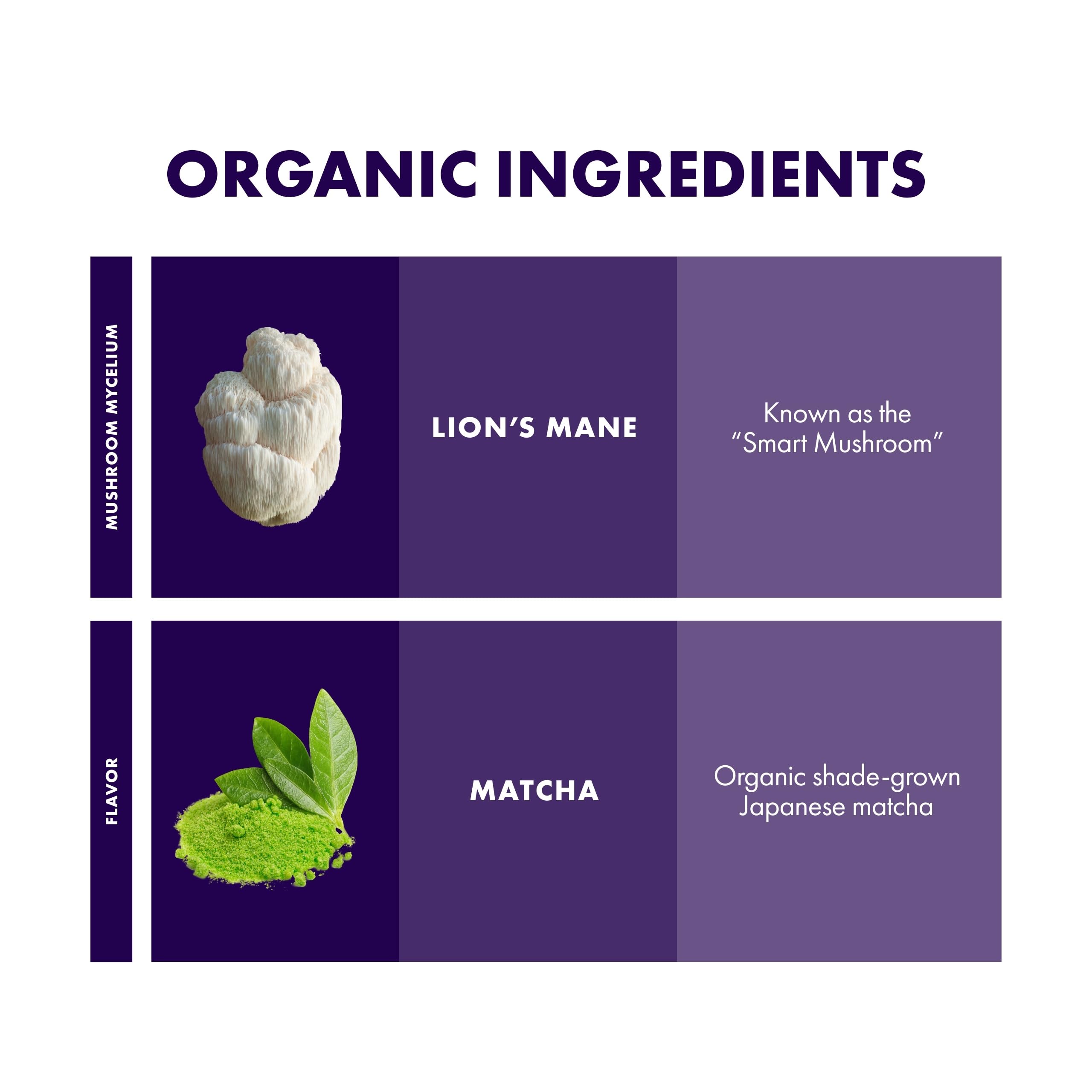 Host Defense MycoBrew Matcha - Matcha Drink Mix - Matcha Green Tea Powder that Includes Lions Mushroom - — view 5