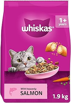 WHISKAS Adult Dry Cat Food 1.9kg with Salmon (Pack of 4)