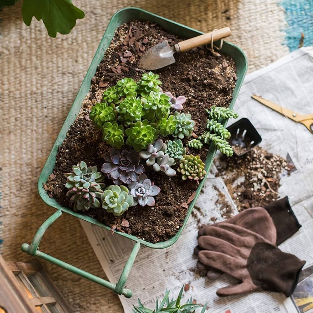 英国プランターラック1対 英国プランターラック1対 楽天市場】【スーパーSALE限定50%OFF