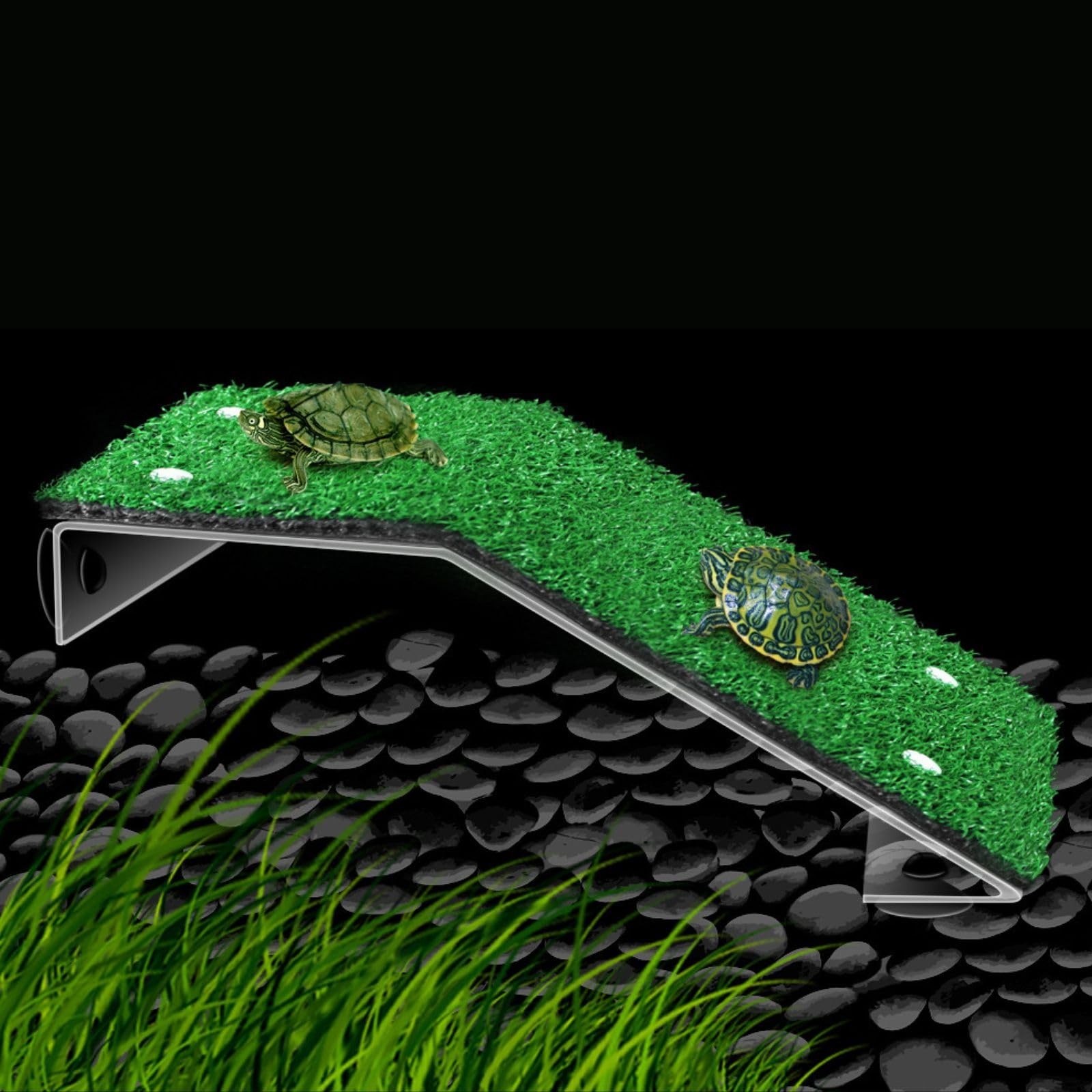 Saim Piattaforma Crogiolarsi