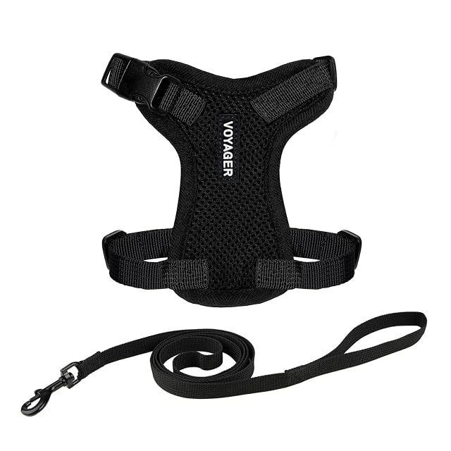 Best Pet Supplies Voyager Step-in Lock