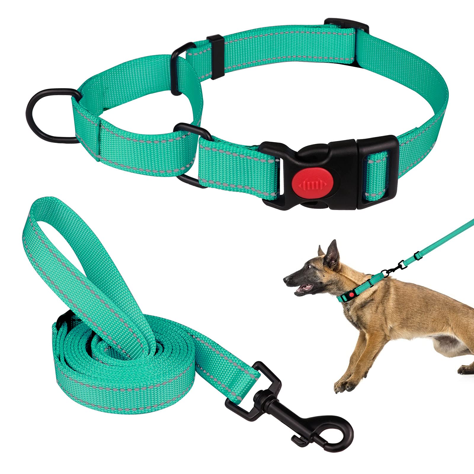 Martingale Dog Collar and Leash Set Martingale Collars for Dogs Reflective Martingale Collar for Small Medium Large Dogs(Mint Green&L)