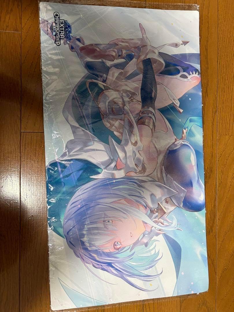 ドライツェーン 2025 ラバーマット 北海道大会 限定 ドライツェーン2025ラバーマット - メルカリ