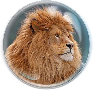 Magnidome Space Animal Fridge Magnet - Crystal Glass Refrigerator Magnet