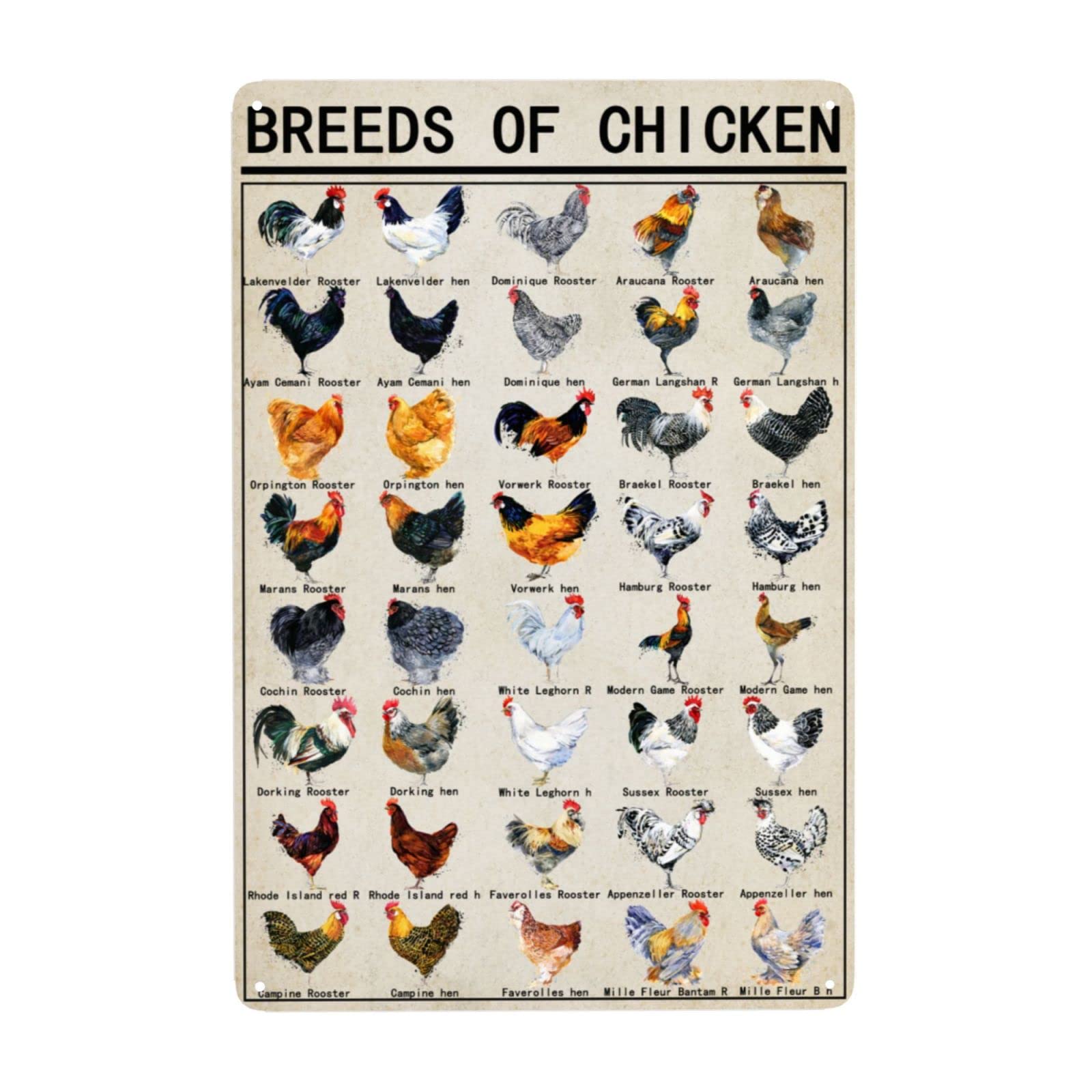 Breeds Of Chicken Vintage Metal Tin Signs World Education Science Classroom Chart Retro Wall Decor Wall Art Funny Posters Gifts 8x12 Inch