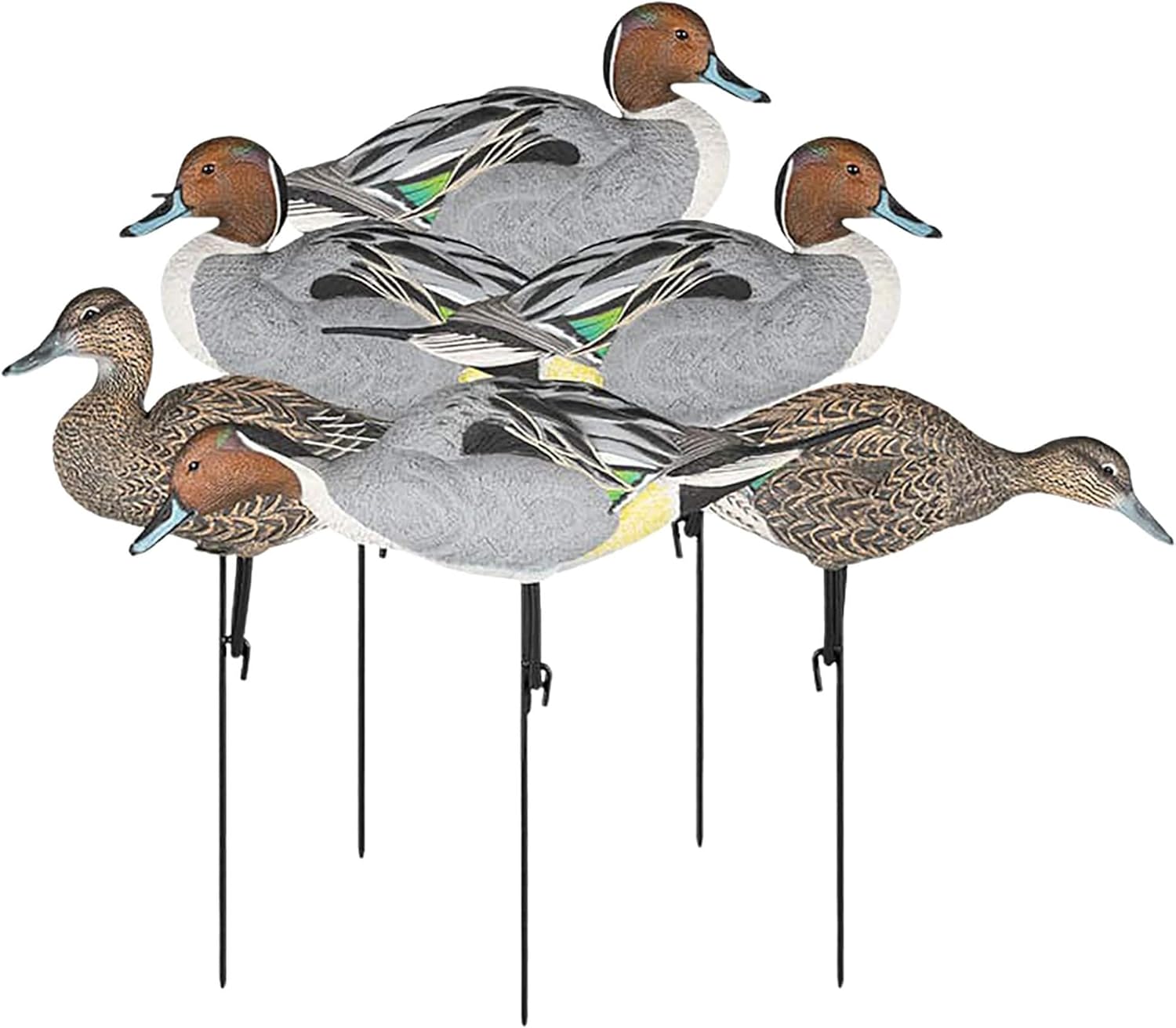 DAKOTA DECOY Pintail Fullbody 6 Pack