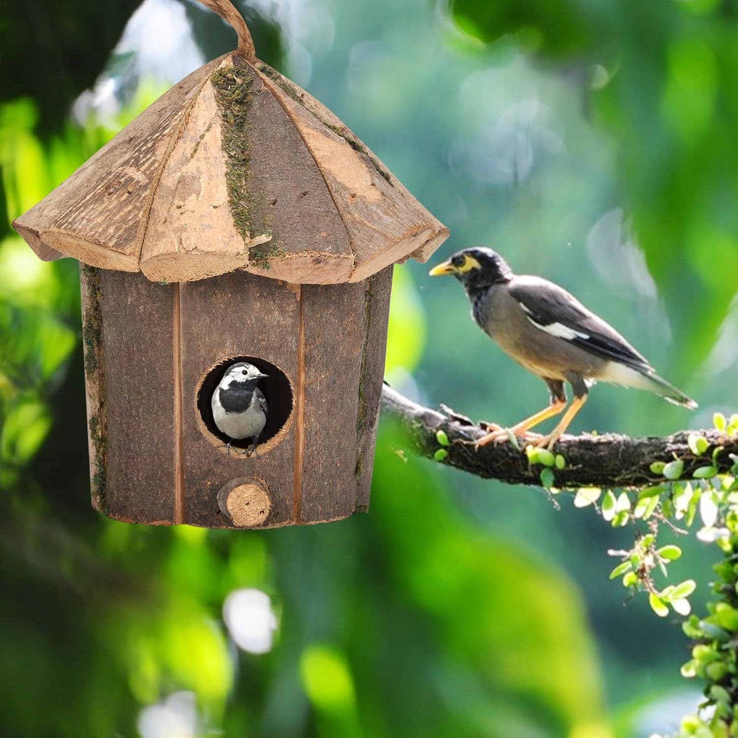 バードハウス 野鳥の巣箱 Lavett