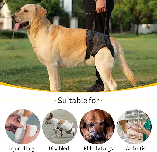Miniatura 5 de HEYWEAN Arnés de soporte para patas traseras para perros grandes, ideal para perros ancianos con artritis lesionados, proporciona ayuda de