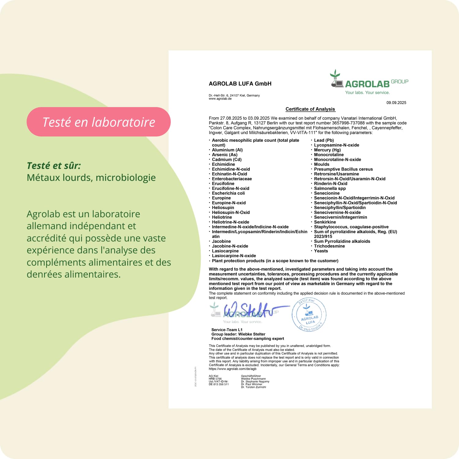 Colon Irritable Vegavero® | 100% Naturel | 120 Gélules | Nettoyage Intestinal | Avec Gingembre, Psyllium, Galanga, Fenouil, Cayenne et Lactobacillus Acidophilus | VEGAN