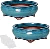 Bonsai Planter 2pc Small Succulent Glazed Pots 4.9 and 6.1 + 6 Soft Mesh Drainage Screens