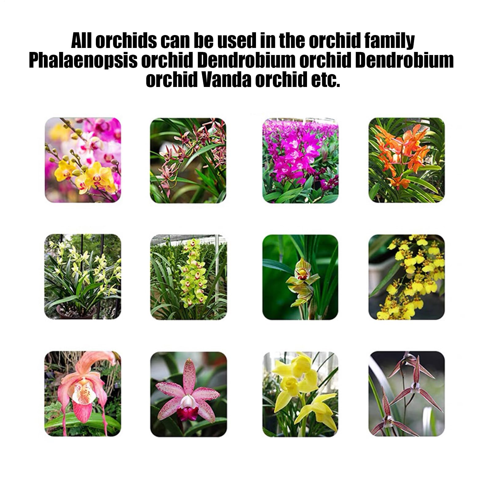 Alimento para plantas de orquídeas | Fertilizante líquido de enraizamiento | Fertilizante líquido para orquídeas | Spray de niebla de orquídeas | Fertilizante natural para orquídeas | Niebla compacta