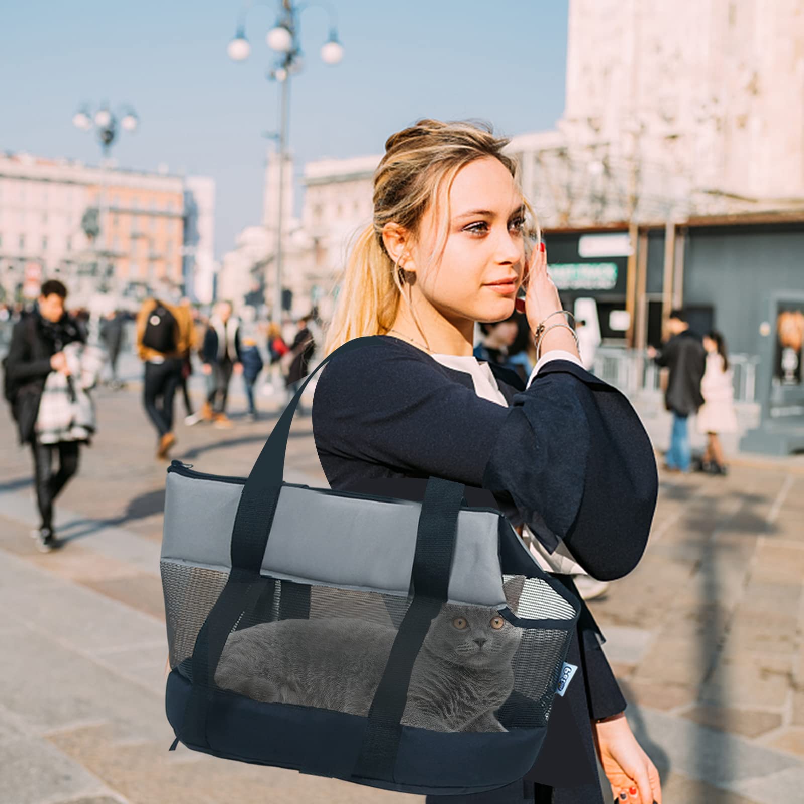 PETCUTE Borsa da Trasporto per Cani e Gatti,Traspirante Borsa da Viaggio per Animali Domestici con Tracolla,Cinghia di Sicurezza Interna,Borsa a Tracolla per Animali Domestici con Pad Rimovibile