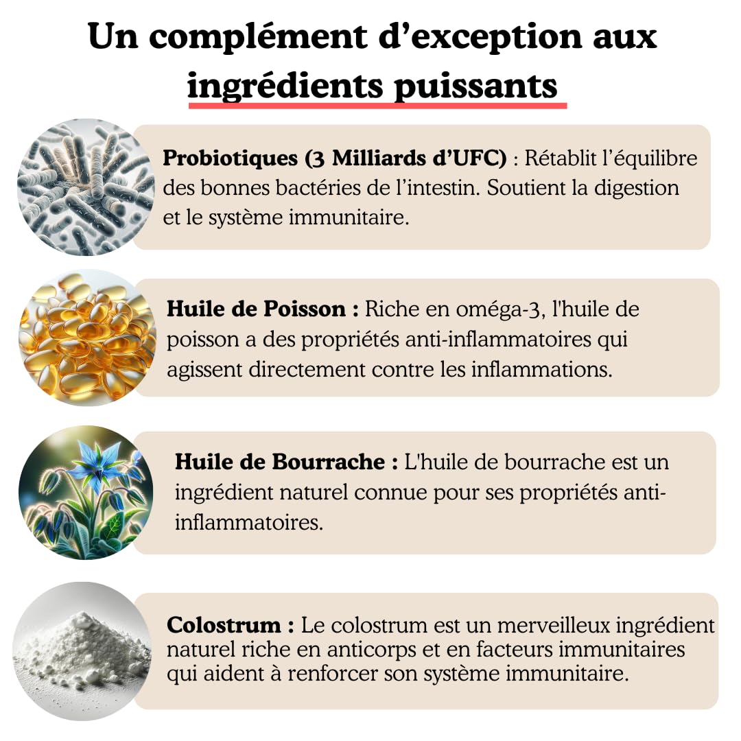 SUNFIDE - Démangeaisons - Complément Alimentaire pour Chien - Contre Les Démangeaisons, Léchages - Oméga 3 - Probiotiques pour Chien - Contre Les Allergies (1 Boîte (60 Friandises au Poisson))