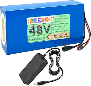 Lithium-Ionen-Akkupack 48V 20Ah 30Ah 40Ah mit Ladegerät für 960W 1440W 1920W Motor-Kit