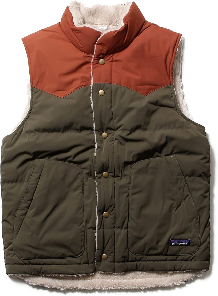 Amazon | [パタゴニア] リバーシブル ビビー ダウンベスト メンズ MENS