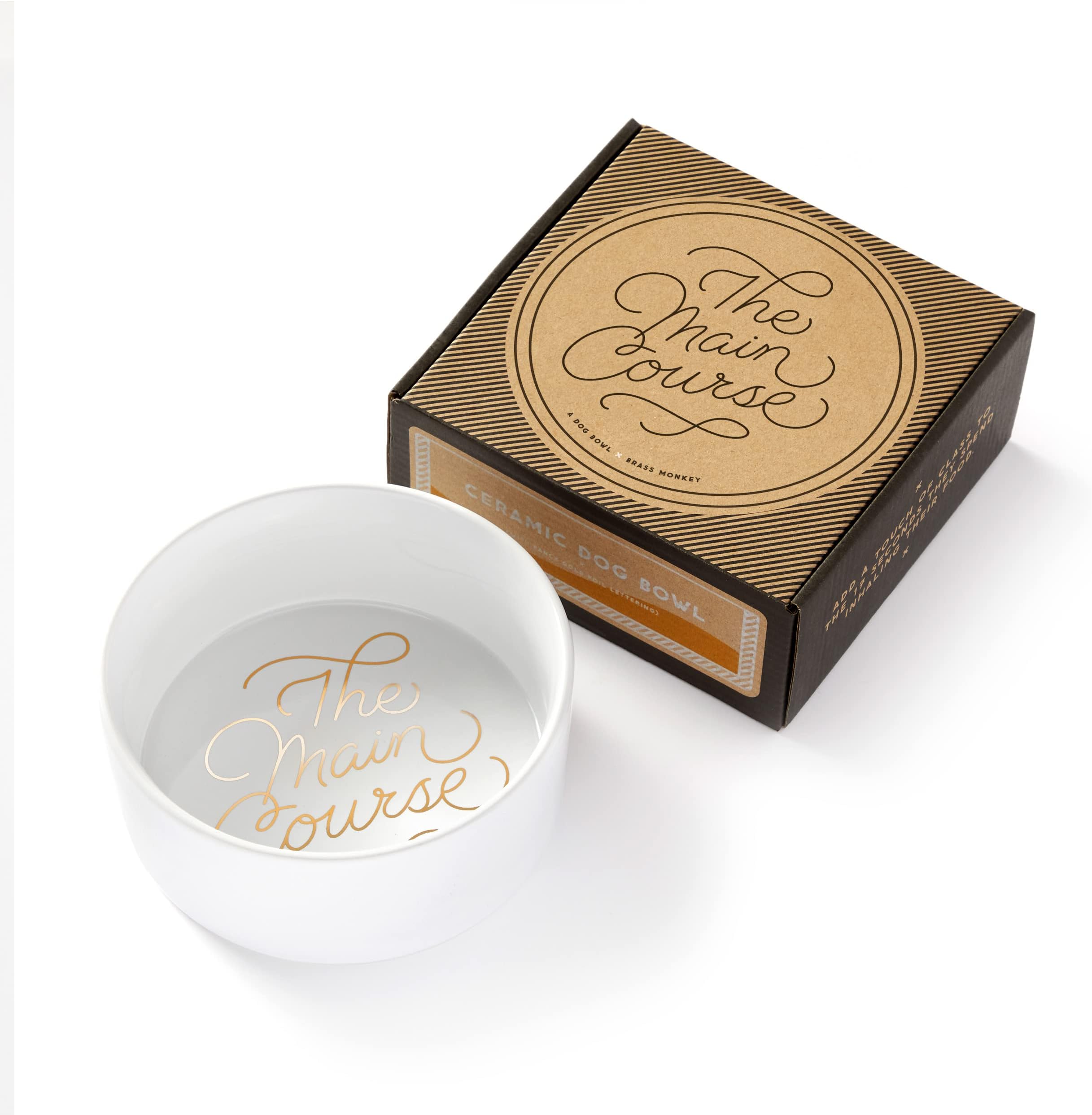 Main Course Pet Food Bowl