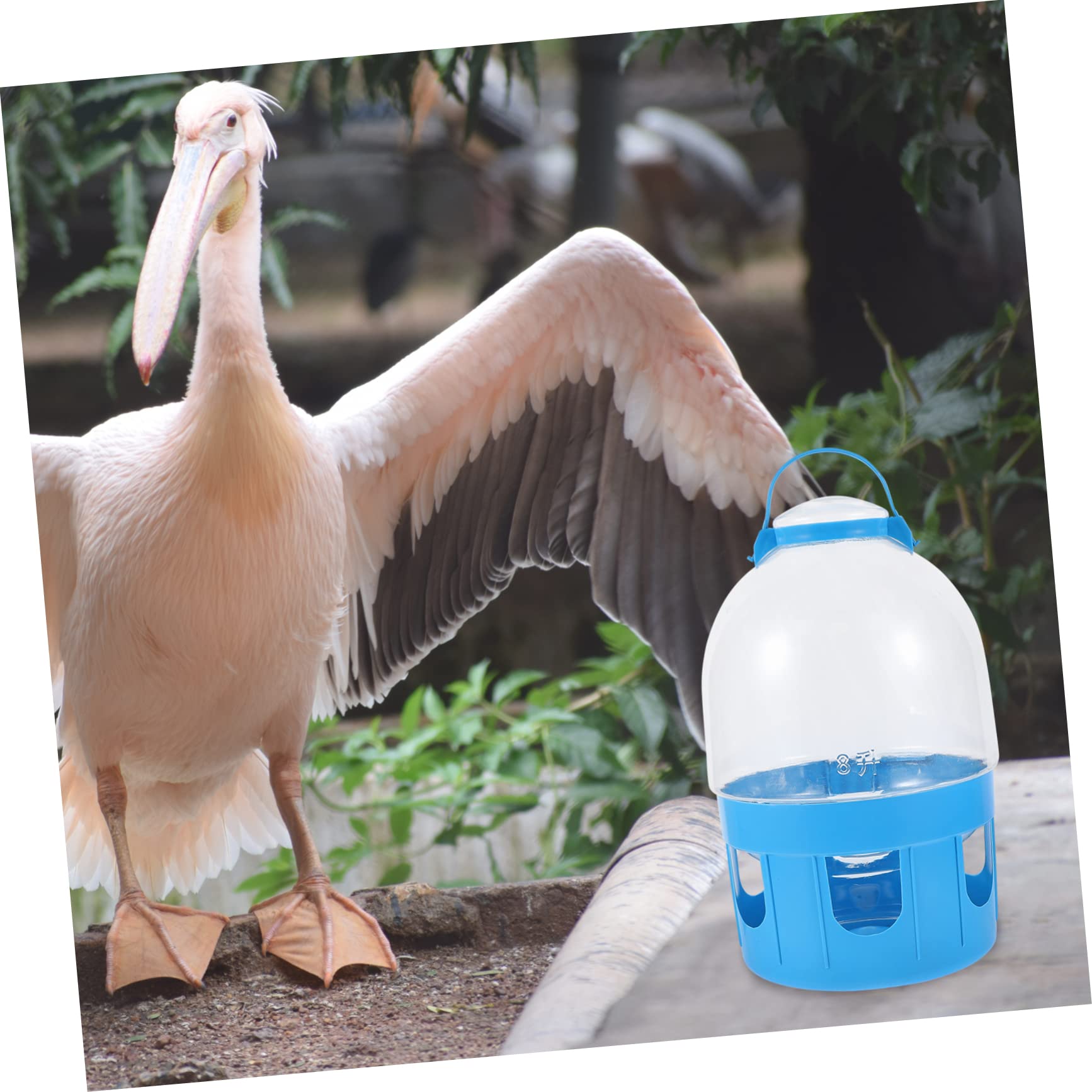 Wasserspender für Tauben mit Großer Kapazität Abnehmbar und PVC Runde Form für Trinkwasserversorgung von Vögeln und Tauben zu Hause Zufällige Farbe
