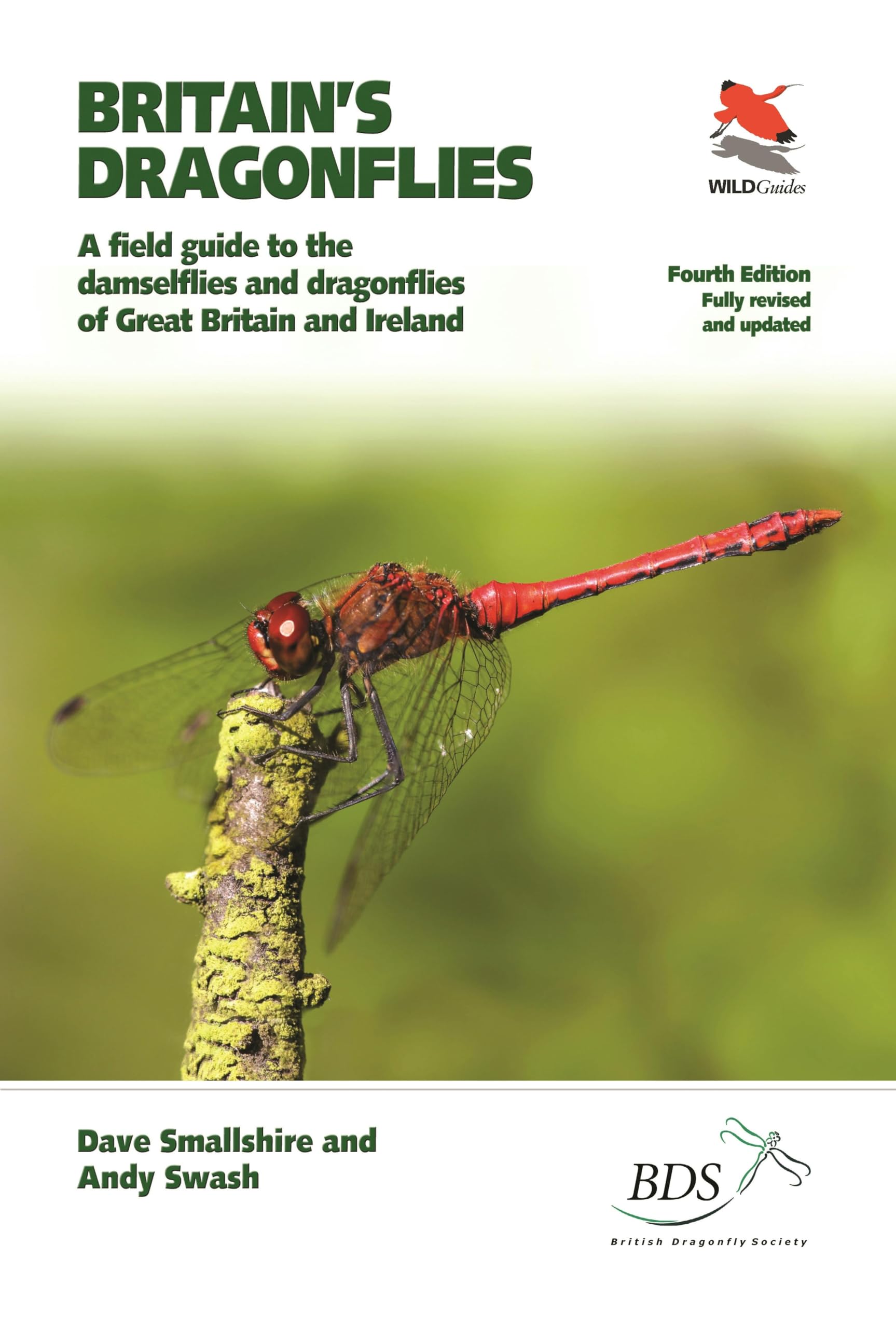 Britain's Dragonflies: A Field Guide to the Damselflies and Dragonflies of Great Britain and Ireland - Fully Revised and Updated Fourth Edition (WILDGuides): 12