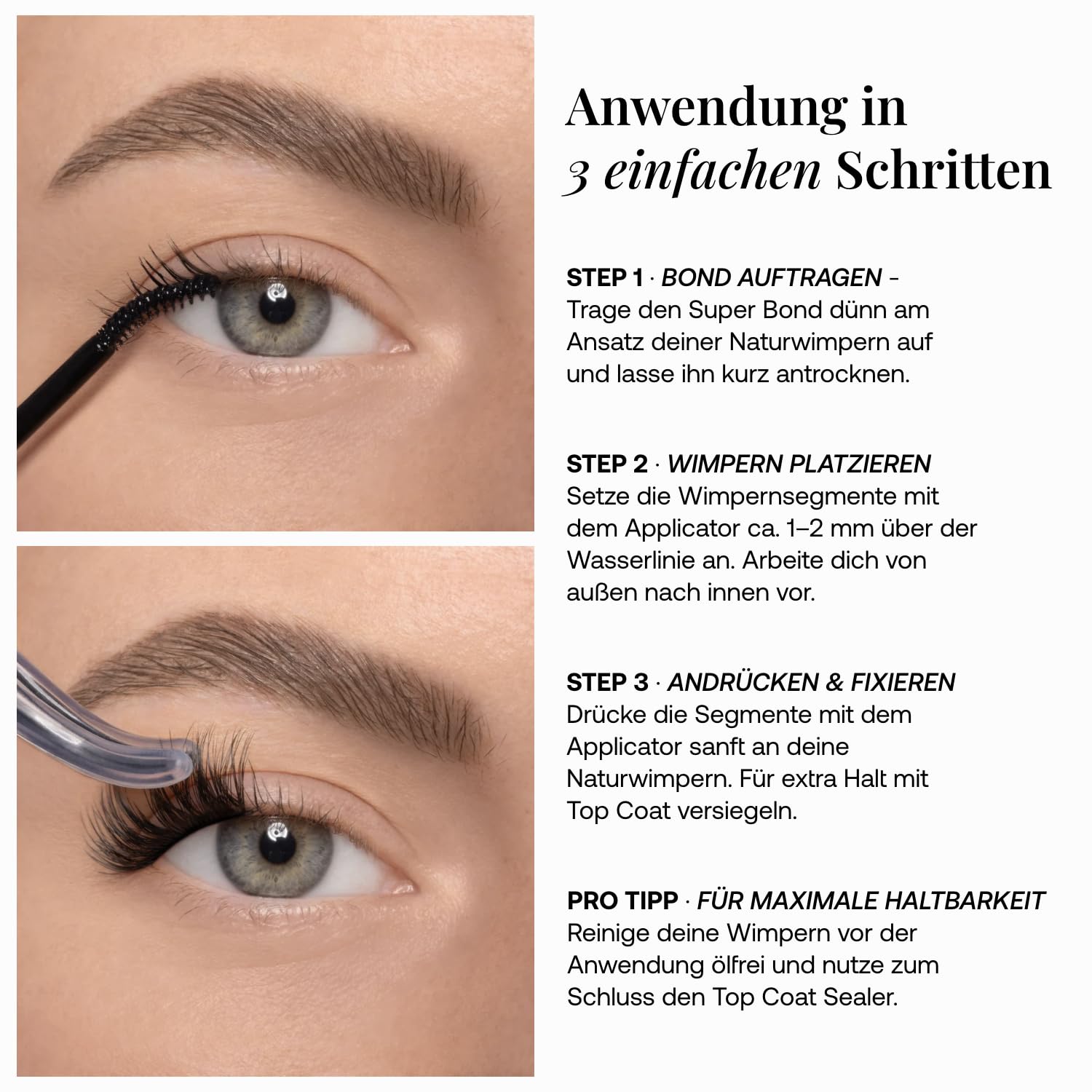 AYLASHES DIY Wimpernextensions Maxi Box 6 Paar künstliche Wimpern Cat Eye Lashes Set