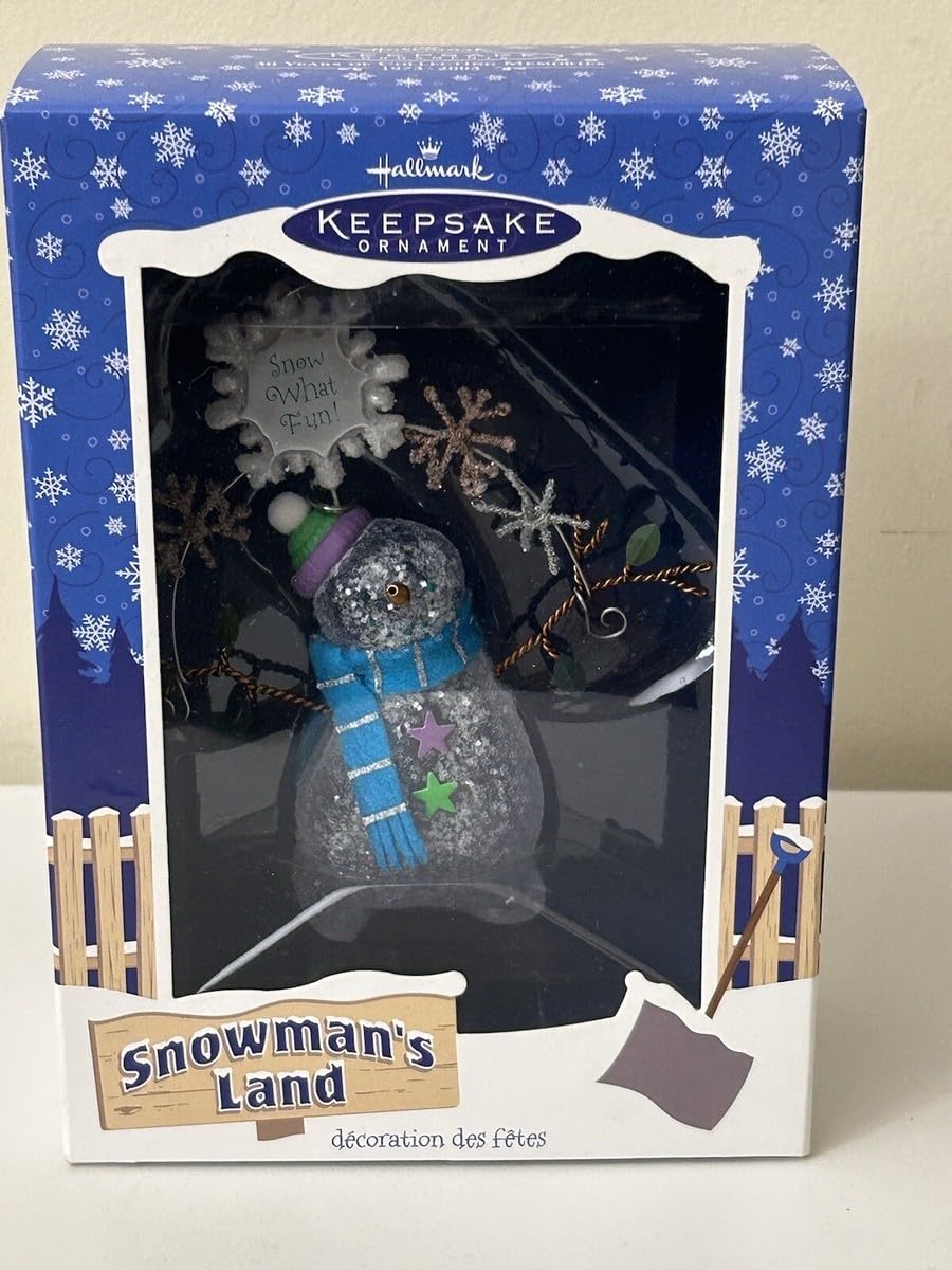 Snow What Fun! Hallmark 2003 suspension de Noël vintage pour sapin festif QP1127