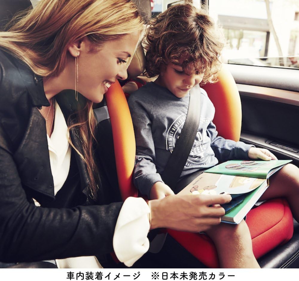 cybex s fix solution