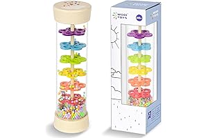 Montessori Rain Stick for Budding Musicians (6-12 Months)