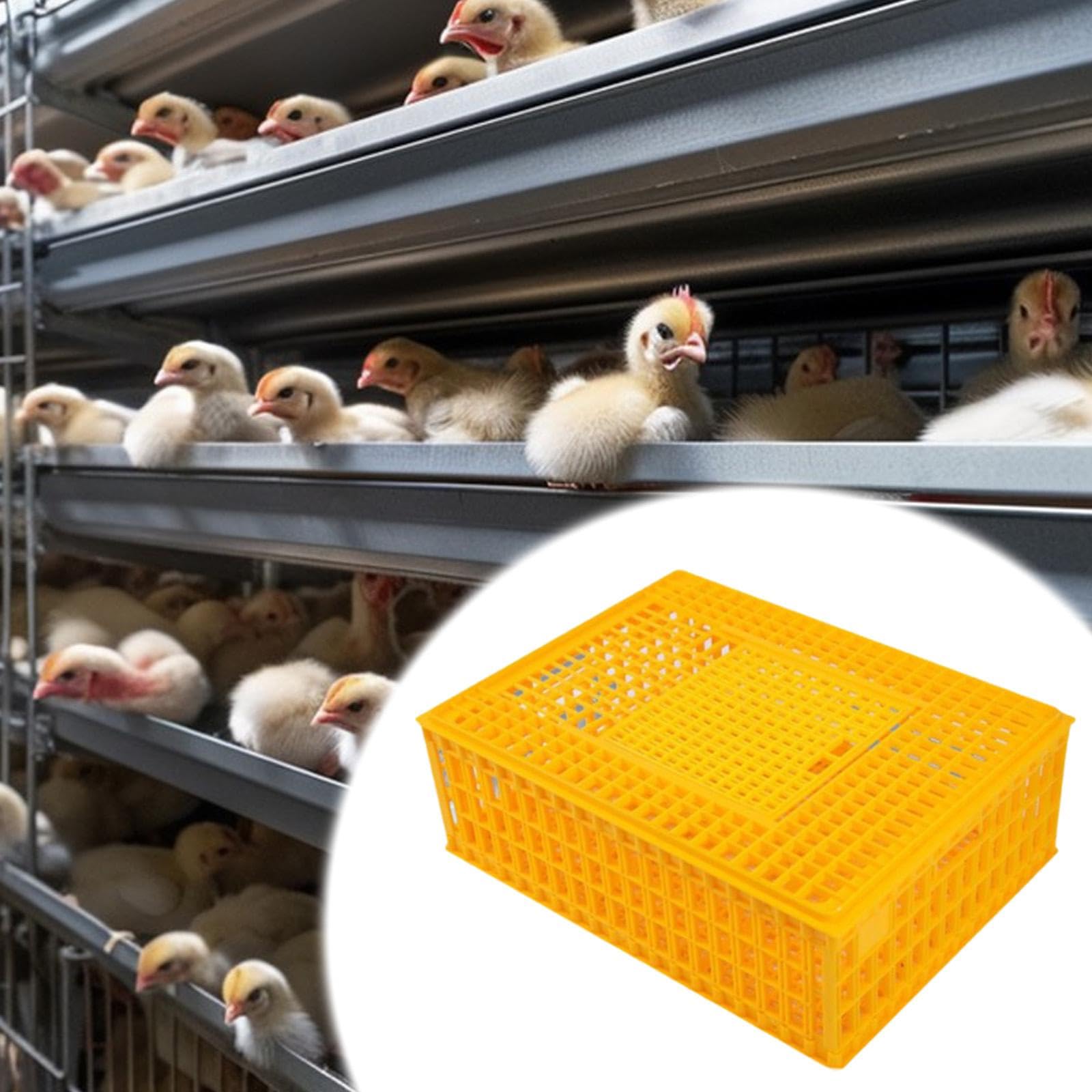 Jaula Apilable para El Transporte de Aves de Corral, Transportín para Pollos, Caja de Transporte para Hámsteres, Palomas Y Pavos, Amarillo