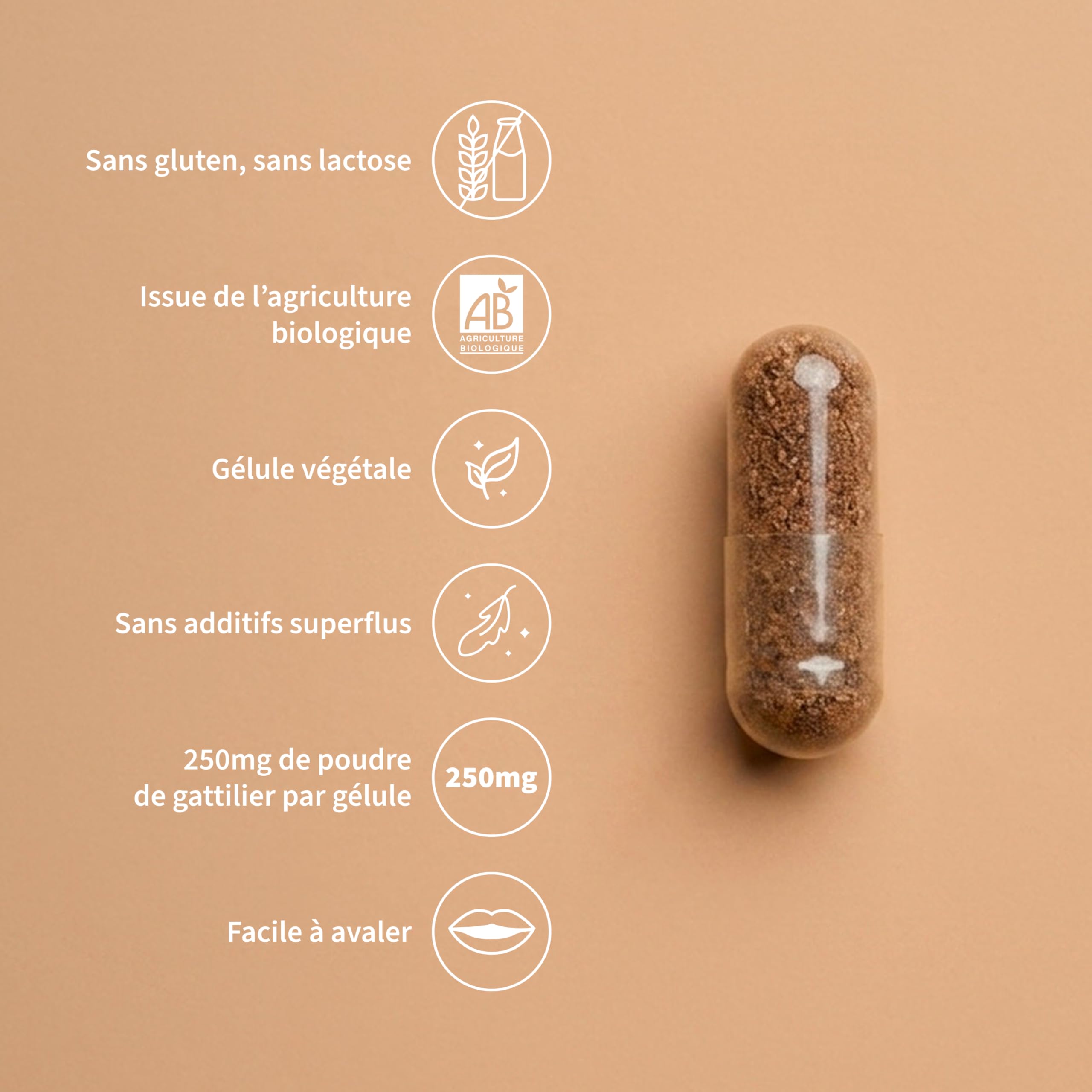 Gattilier Bio 250 mg - 60 gélules - Confort menstruel & équilibre au quotidien - Complément alimentaire