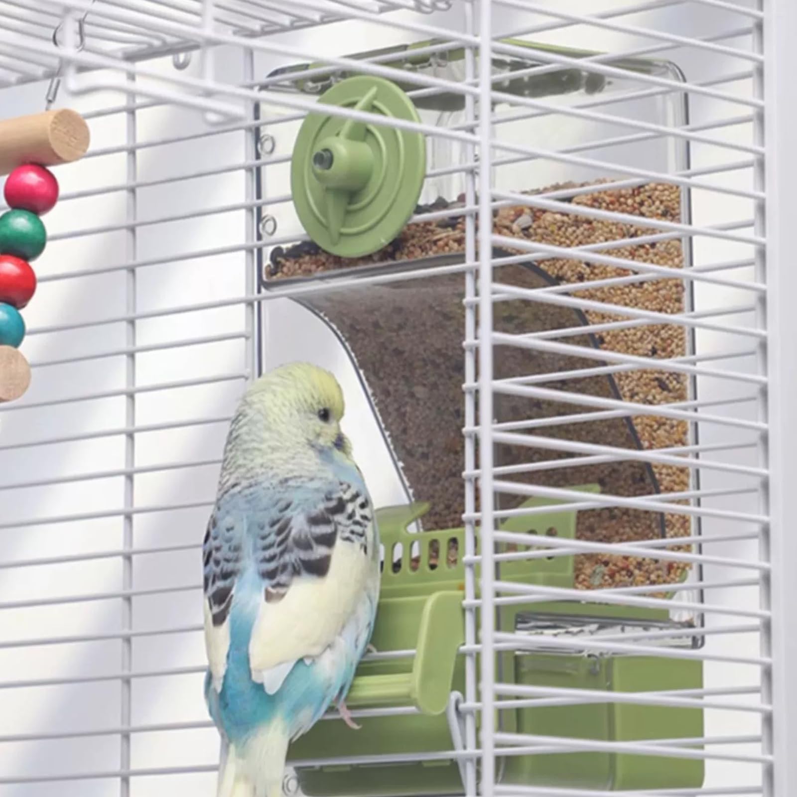 Mangiatoia automatica per uccelli, mangiatoia per gabbia per uccelli con trespolo per parrocchetto canarino calopsitta fringuello (Verde)