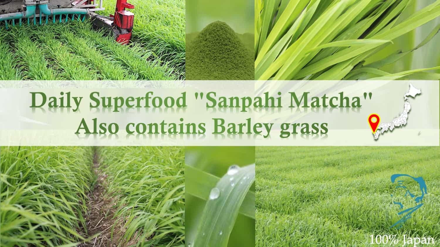 2g x 30pcs x 2bags Green Juice Aojiru All Natural Yame Matcha Young Barley Grass Leaves Powder — view 6