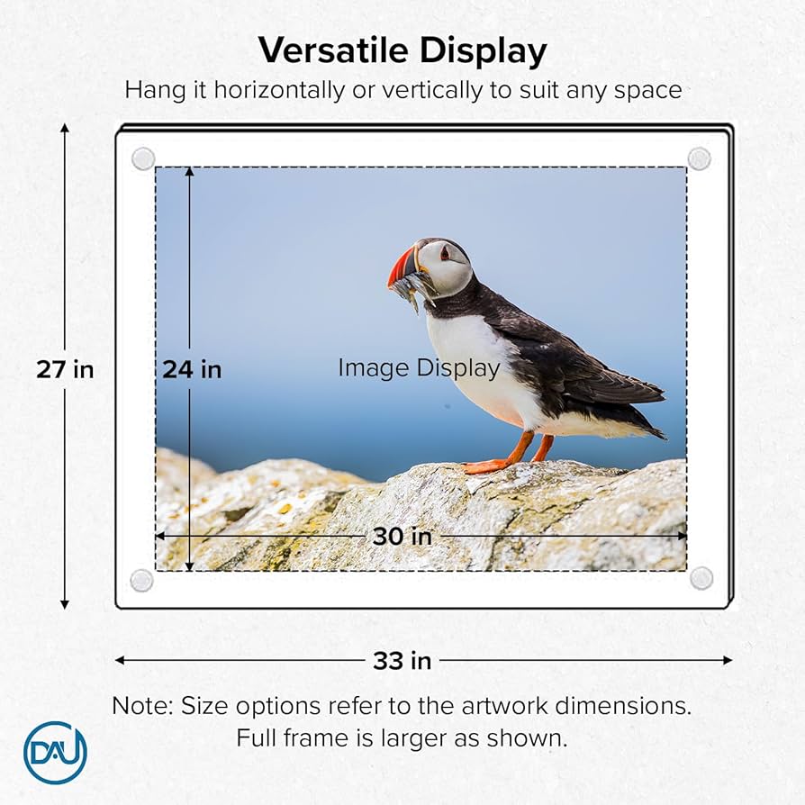 Amazon.co.jp: アクリルフローティングフレーム ホワイト