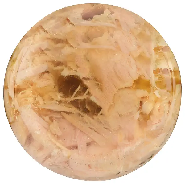 Tuna Fish (Pack of 1, Truffle Infused Olive Oil) 6