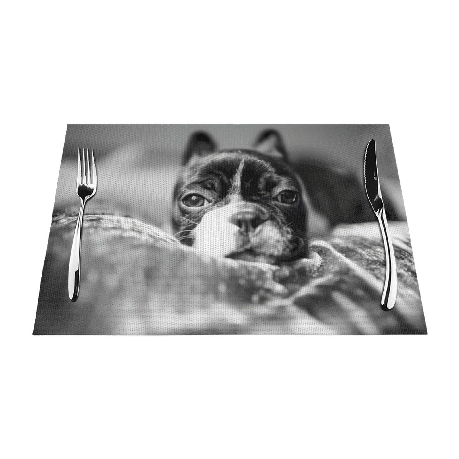 Sets de table bouledogue français pour animer vos repas en famille
