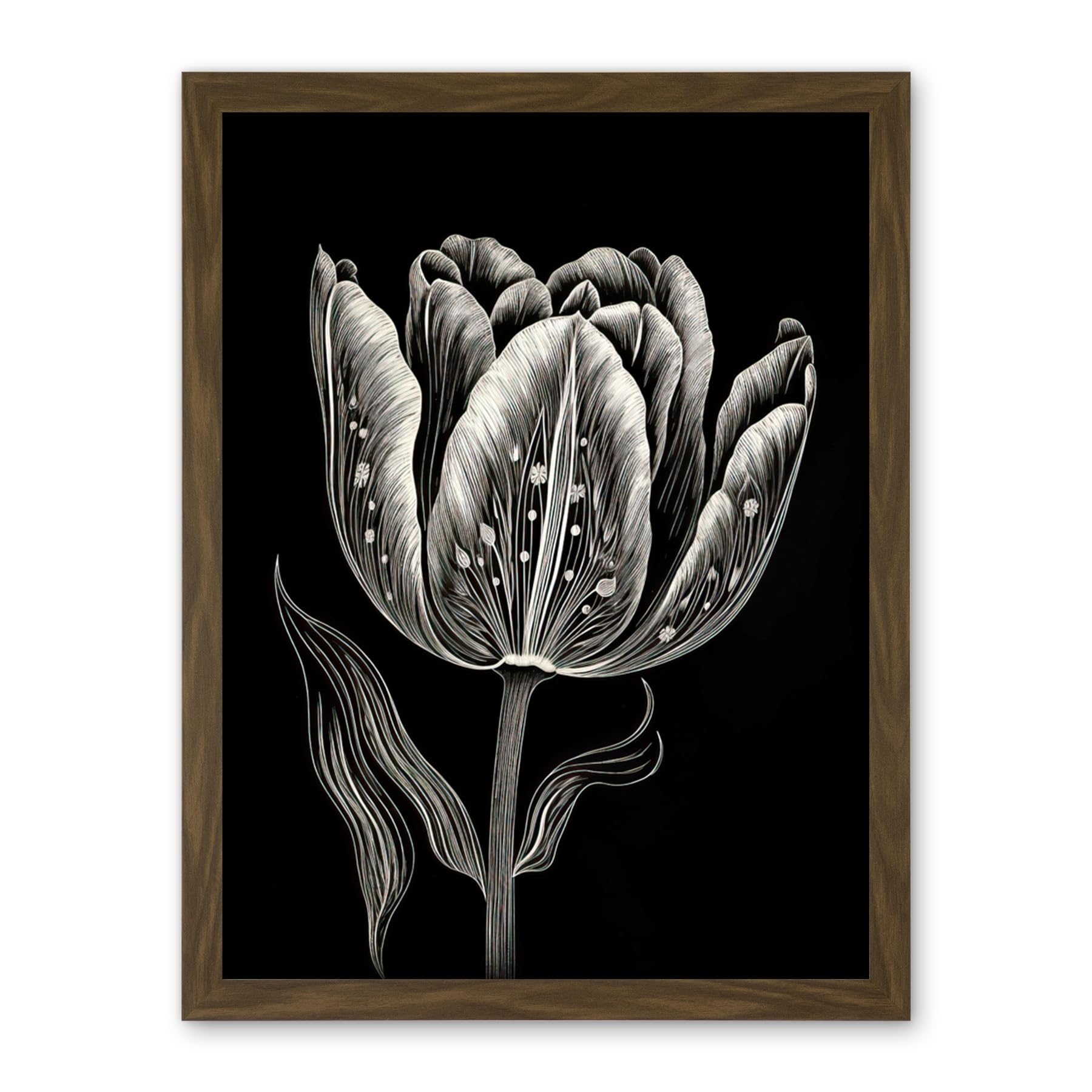 Artery8 Tulip Flower White on Black Blind Contour Folk Art Artwork Framed Wall Art Print 18X24 Inch