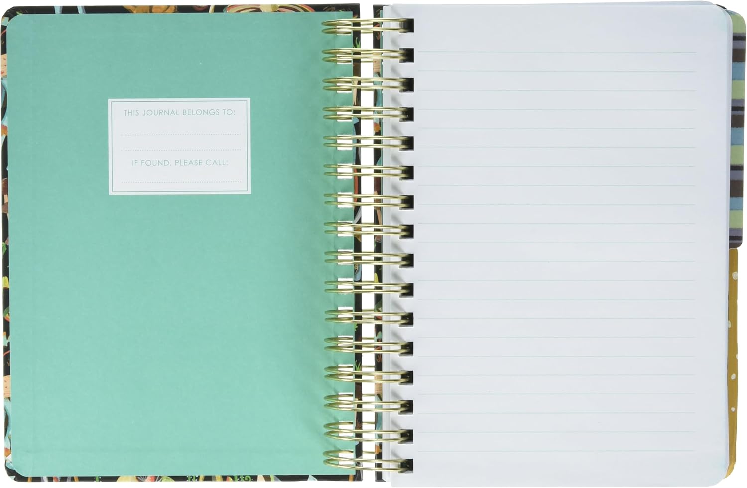 C.R. Gibson MJN2-25098 Forage Twin Wire 3-in-1 Blank, Dot Grid, and Lined Journal with 480 Pages, 6.25" W x 8.3125" H, Multicolor