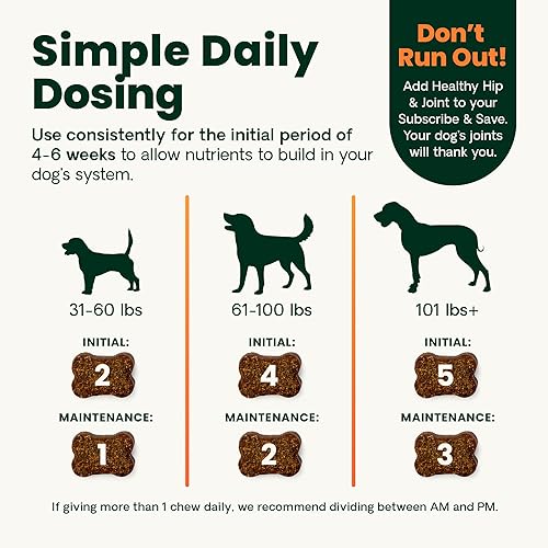 Miniatura 8 de VetriScience Ultimate Strength - Masticables saludables para cadera y articulaciones, glucosamina, condroitina y mejillón de labios verdes para