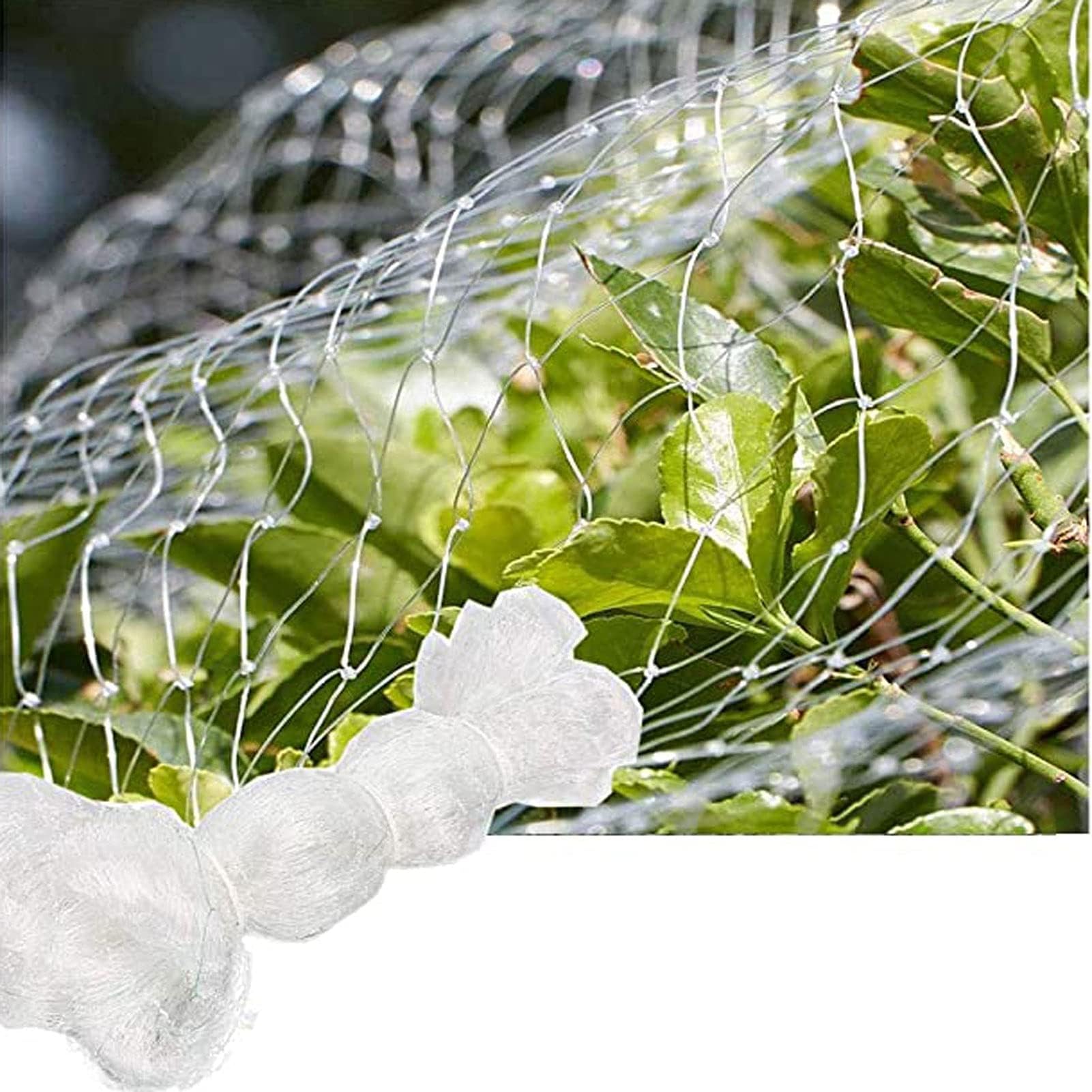Siatka ochronna dla ptaków ogrodowych - siatka przeciw ptakom do sadzonek, roślin, kwiatów, drzew, warzyw - ogrodzenie wielokrotnego użytku, siatka 2,5 cm, 5 m x 5 m
