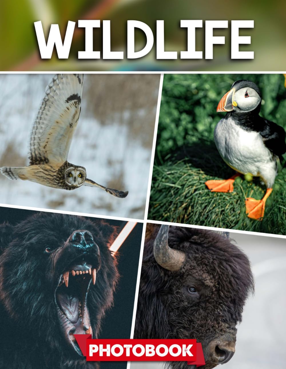 Wildlife Photo Book: Picture Collection For Adults With Dementia And Alzheimer’s Patients – Captivating Wildlife Images Showcasing Animals In Their Natural Habitats