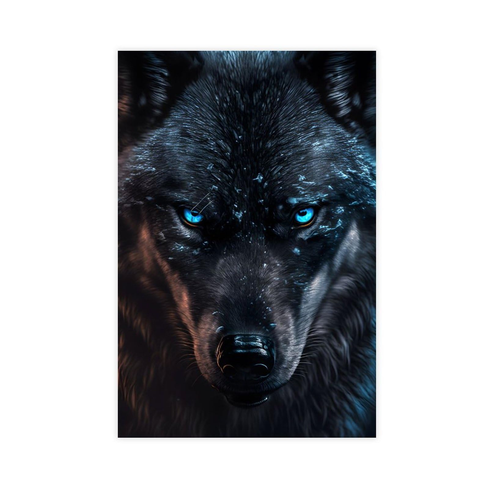 belle loup vigilant noir / blanc Taille: 120x80 sur toile, énorme XXL Photos complètement