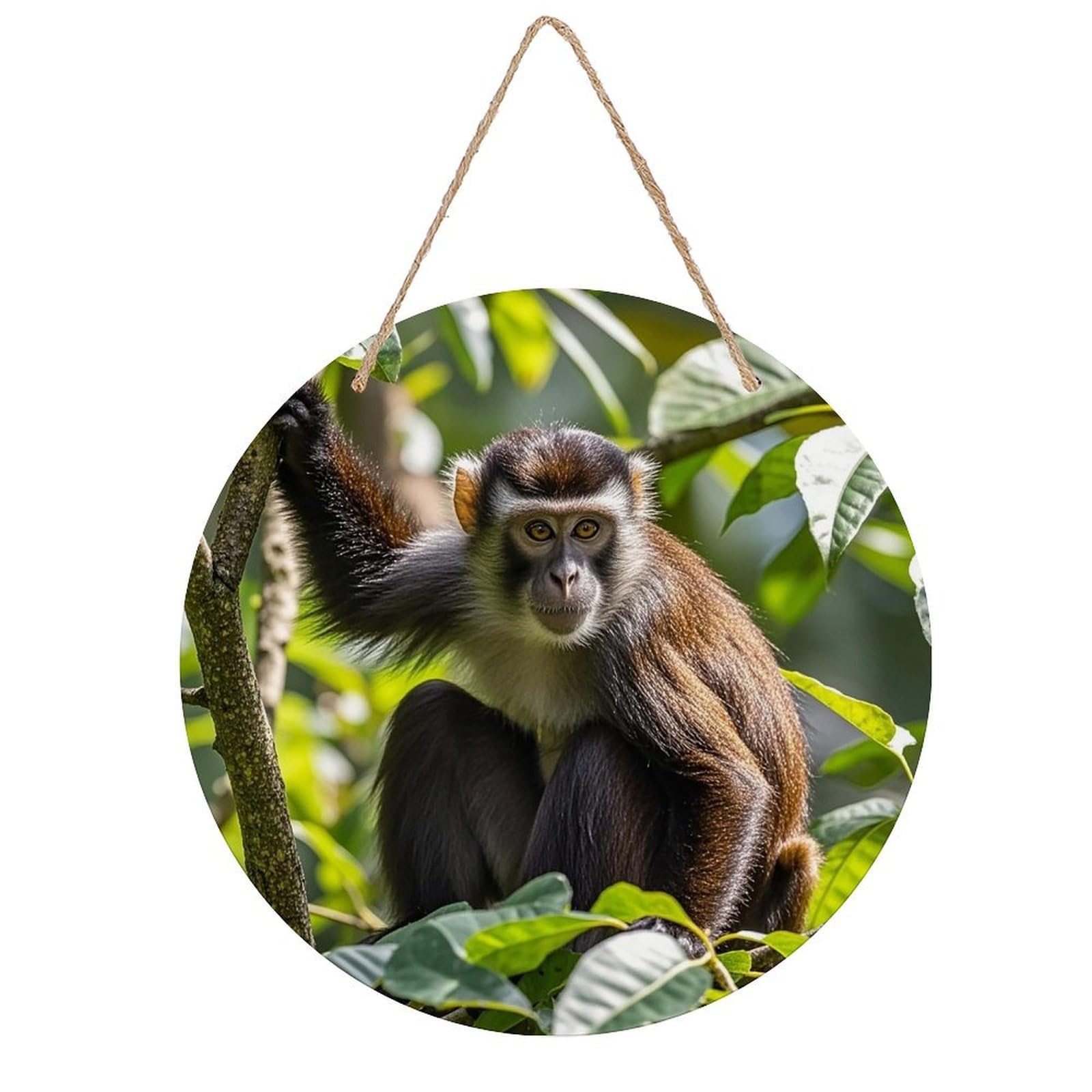 FekiLoot Monkey Wall Art Decor Rustic Welcome Sign Round Wood Hanging Sign Decoration Wood Plaque Door Hanger Wooden Signs Wall Hanging Decor Housewarming Gift for Home Outdoor Indoor
