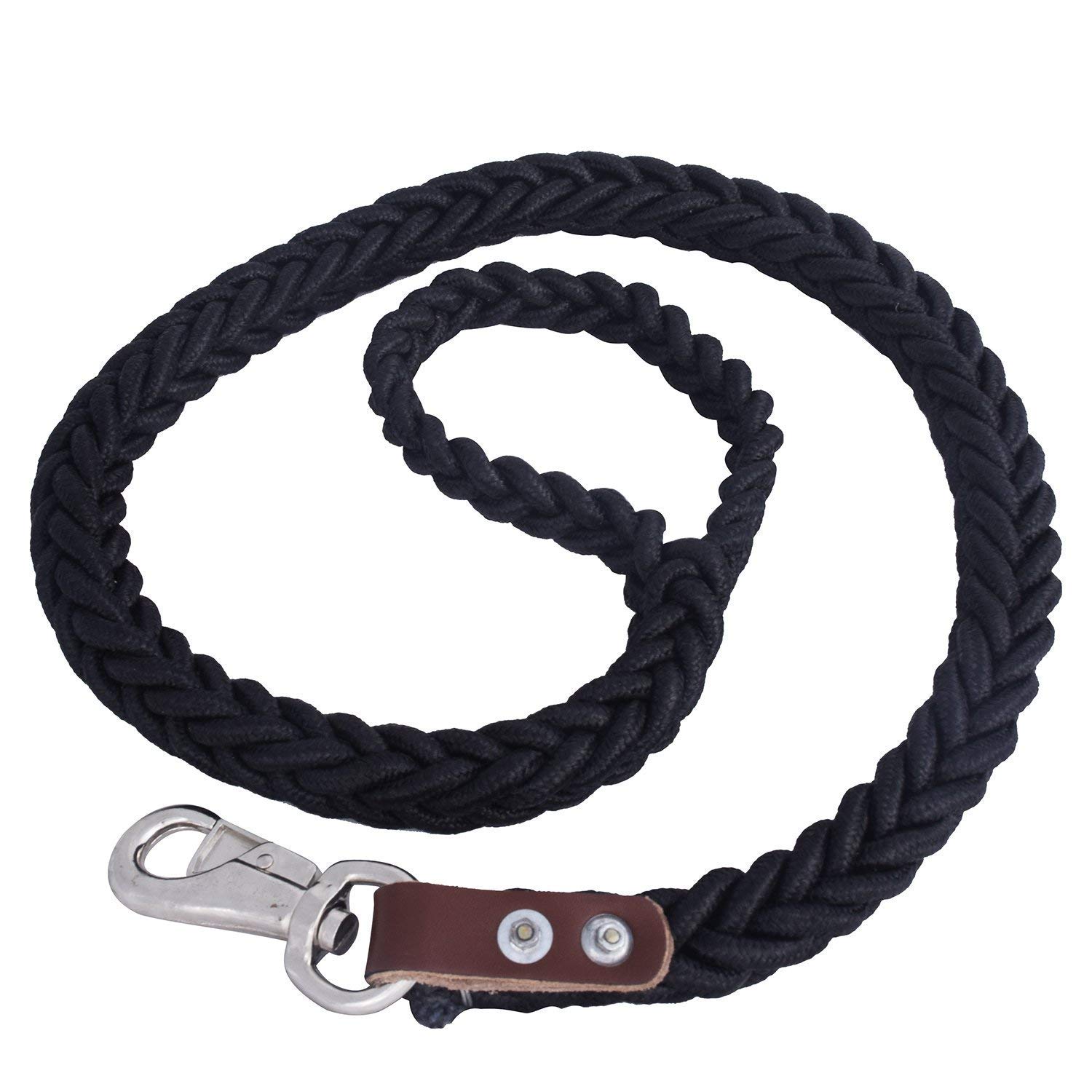 The DDS Store Nylon Braided Rope Pet Dog Leash for Medium Dog Large X-Large Dog 60 Inches (Blue) (B07L7DZWDC) Amazon Price History, Amazon Price Tracker