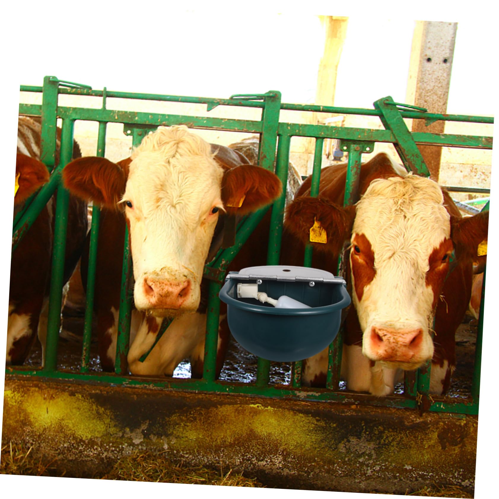 Didiseaon Bebedero Automático para Animales Resistente Plástico para Ovejas Cabras Perros y Ganado con Suministro de Agua para Exteriores y