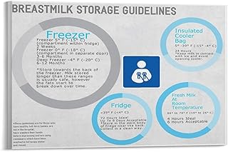 Breastmilk Storage Guidelines Poster Freezer Fridge And Room Temp Time Canvas Painting for Bedroom Living Room Decor 36x24inch(90x60cm) Frame-style