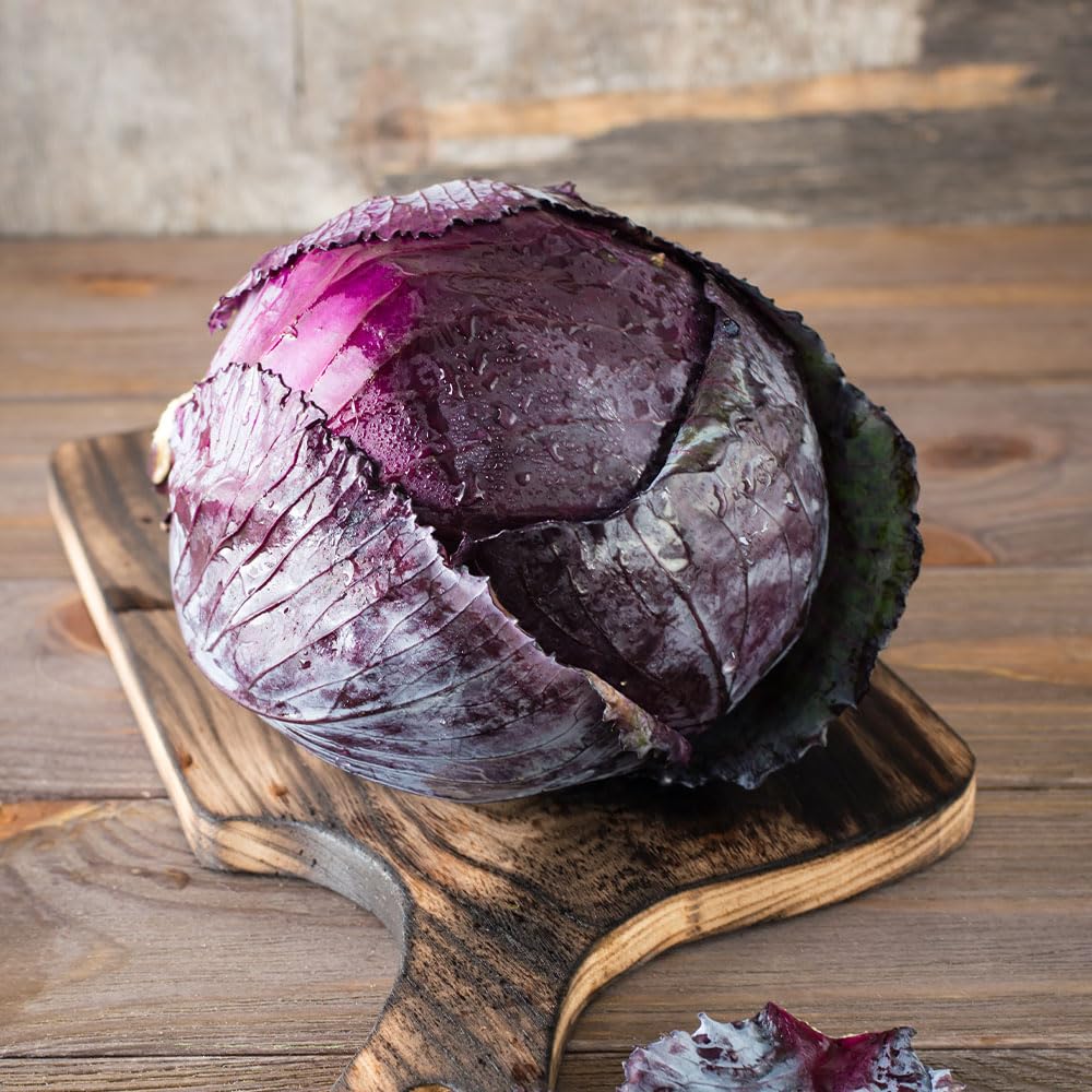 Cabbage Red Romanov F1 Seeds – Attractive, Sweet Tasting Leaves – for Your Beautiful Kitchen Garden