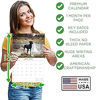 Vista 25 de Razas de Perros 2017