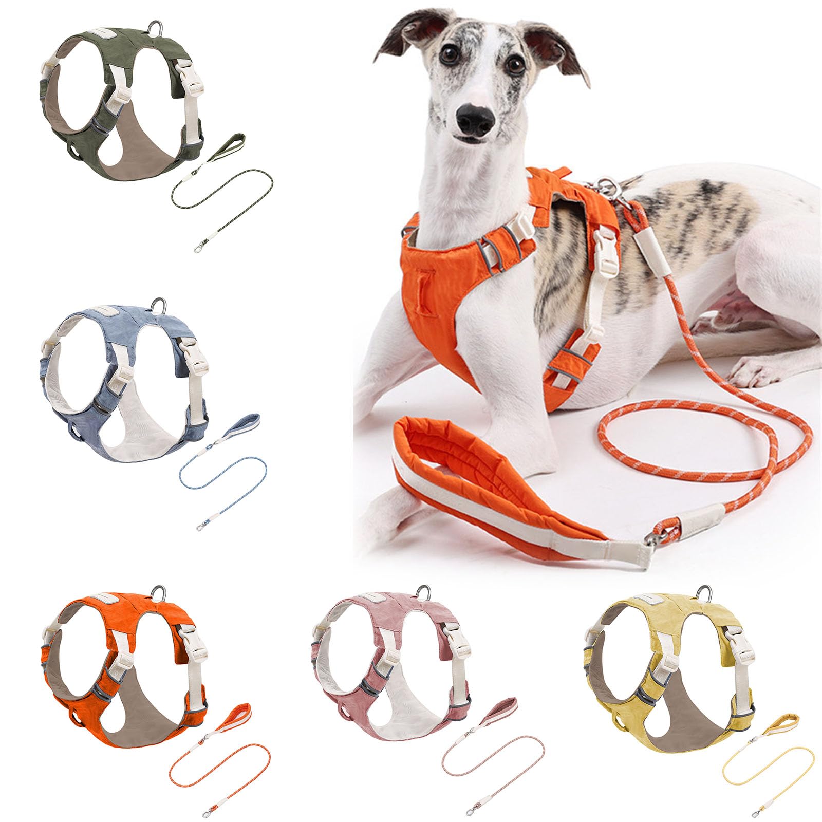 Set di pettorina e guinzaglio rimovibili per cani, gilet riflettente regolabile con comoda corda in nylon per la sicurezza quando si cammina all'aperto, semplice cane con equipaggiamento rimovibile