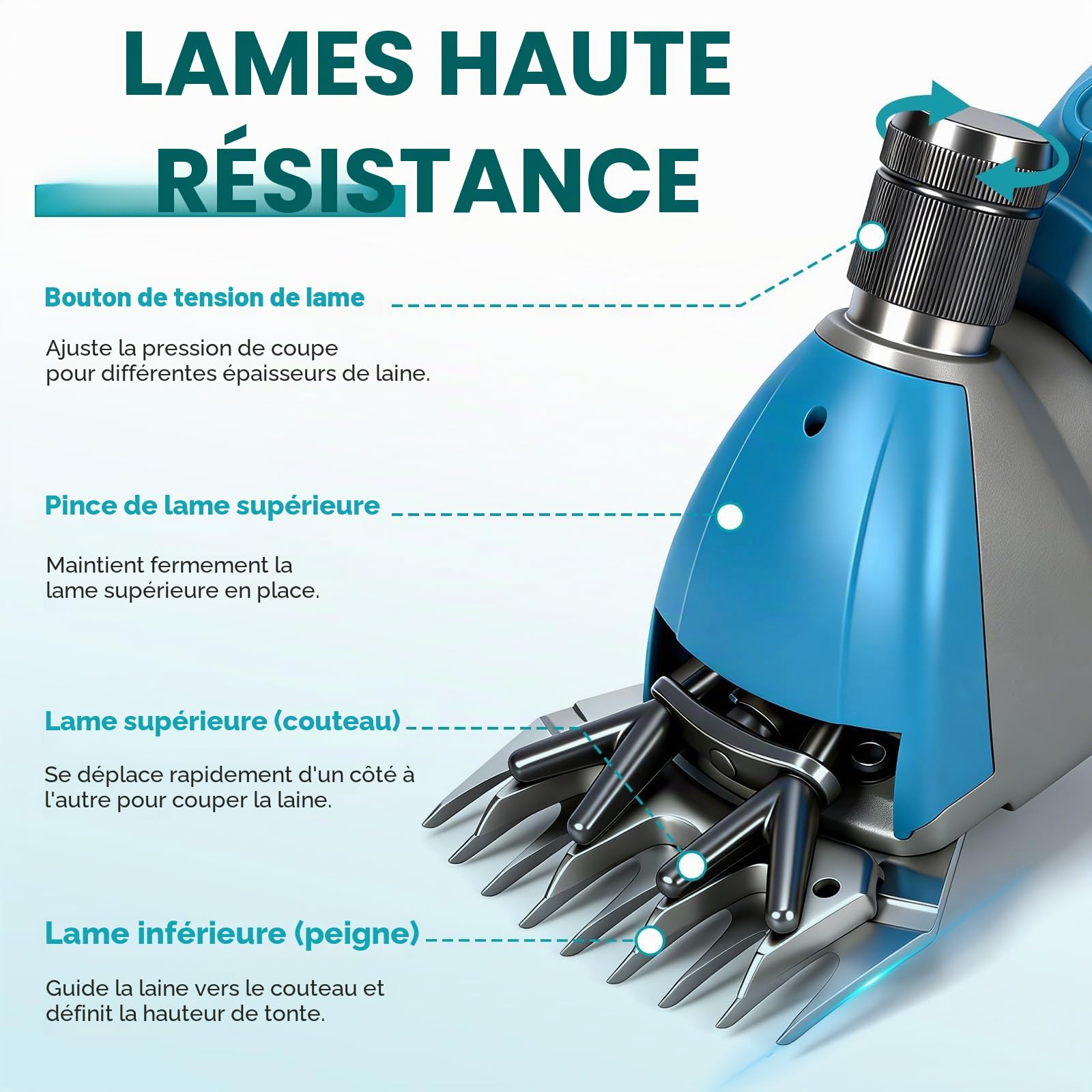 Yofidra Tondeuse à moutons sans fil 800 W - Tondeuse Mouton électrique avec moteur sans balais, 3000 tr/min, 2 batteries de 3000 mAh, griffe réglable, pour moutons, alpagas et chèvres, bleu