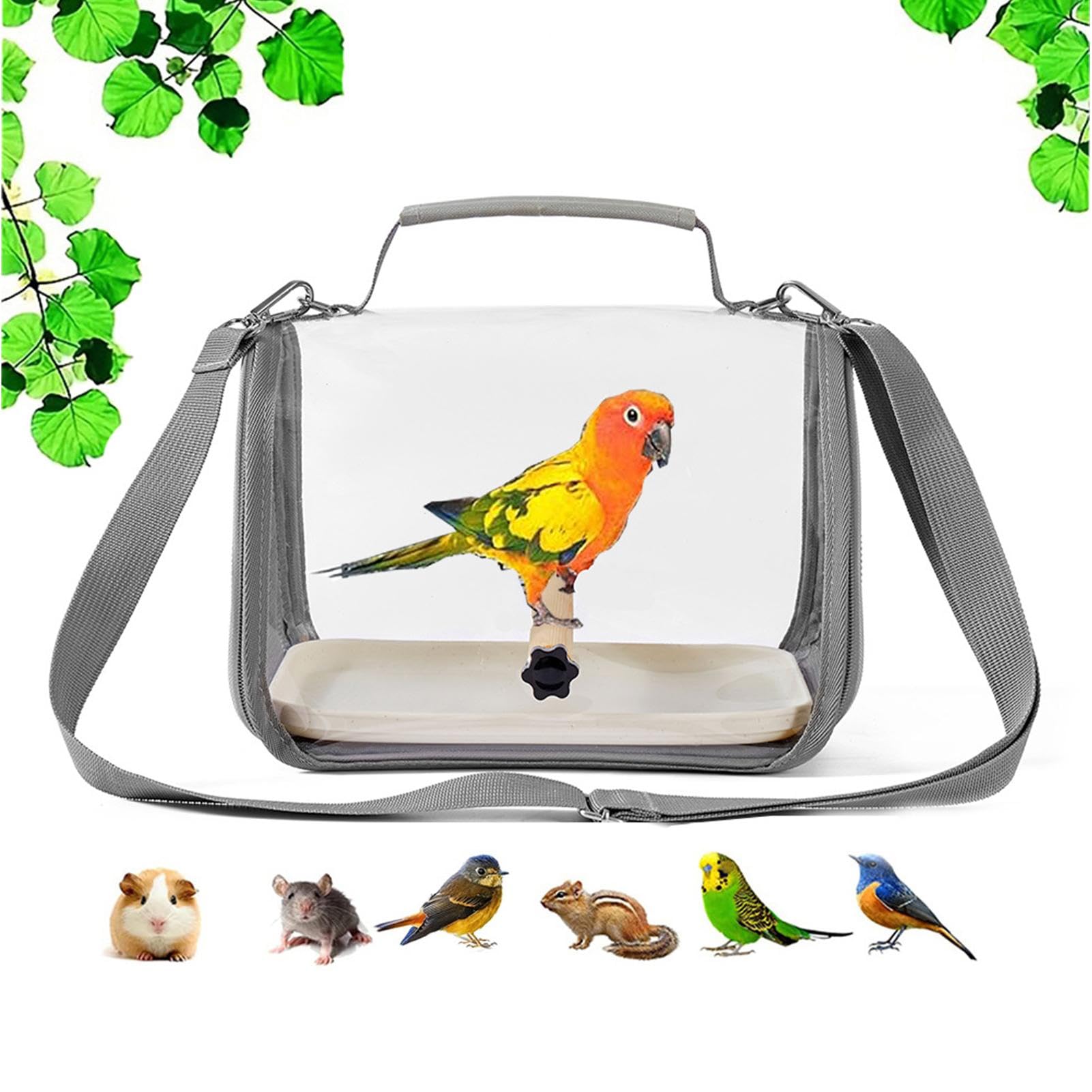 Borsa da trasporto per pappagalli, trasportino per parrocchetti con posatoio, calopsitta, piccola gabbia per il trasporto di animali domestici, parrocchetti, piccioncini, calopsitte
