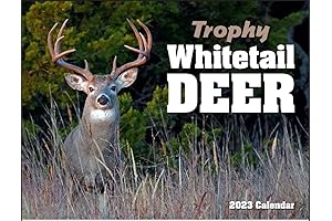 Mule Deer Wall Calendar 2023 - 19 x11 inches